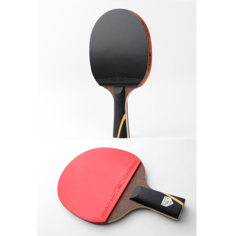 Huieson 6 Star Upgraded Table  - Table Tennis Match recension och pris