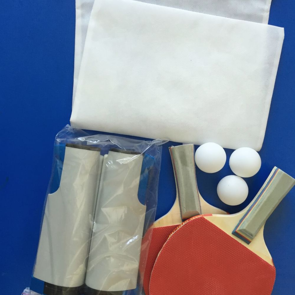 Portable Ping Pong Net Rack Re - Table Tennis Net Set recension och pris